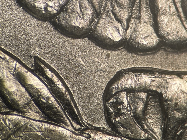 1883-O-$1-MS-62-VAM-36A-Partial-E-Pickup