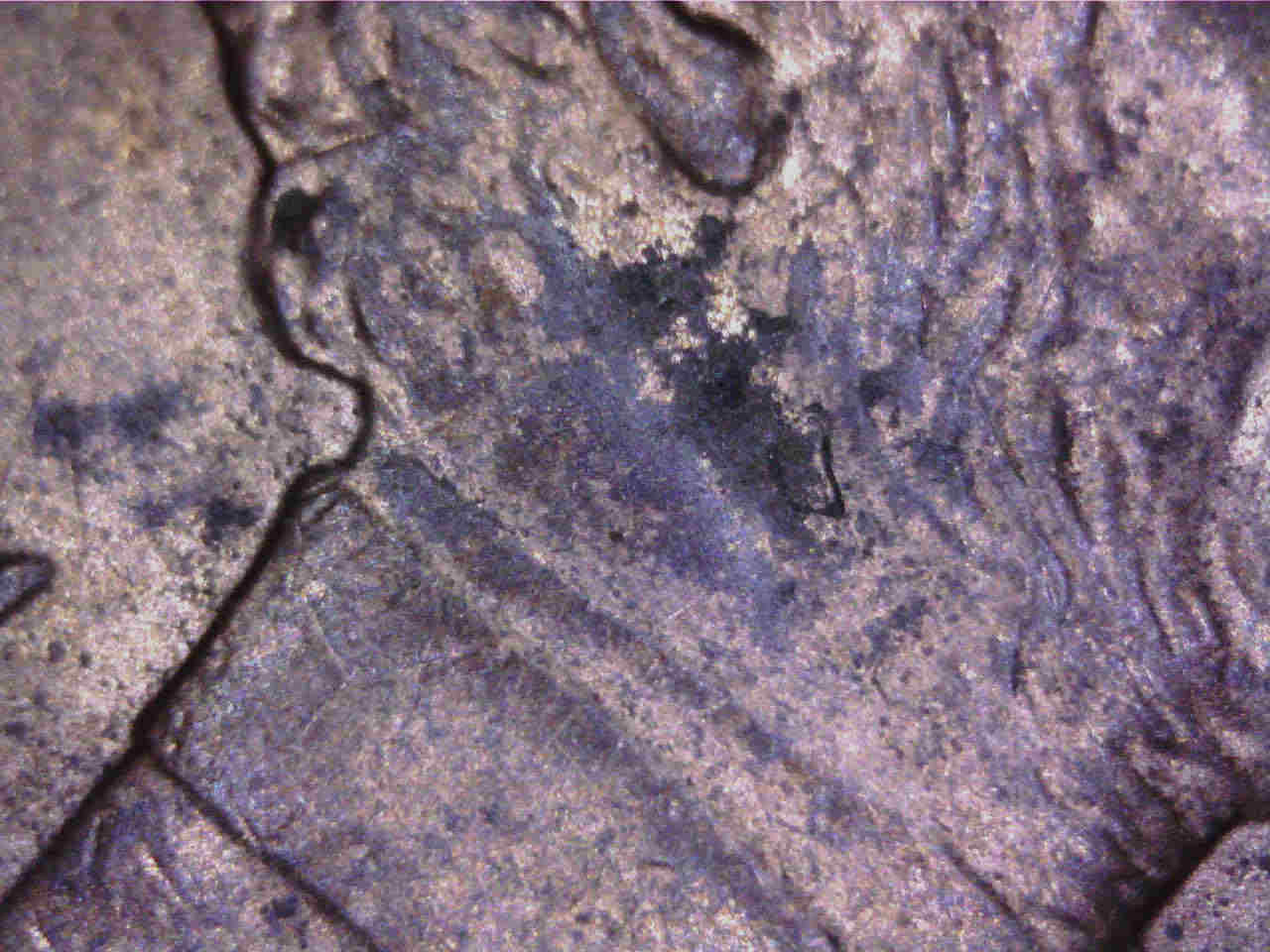 2004-P-002-?