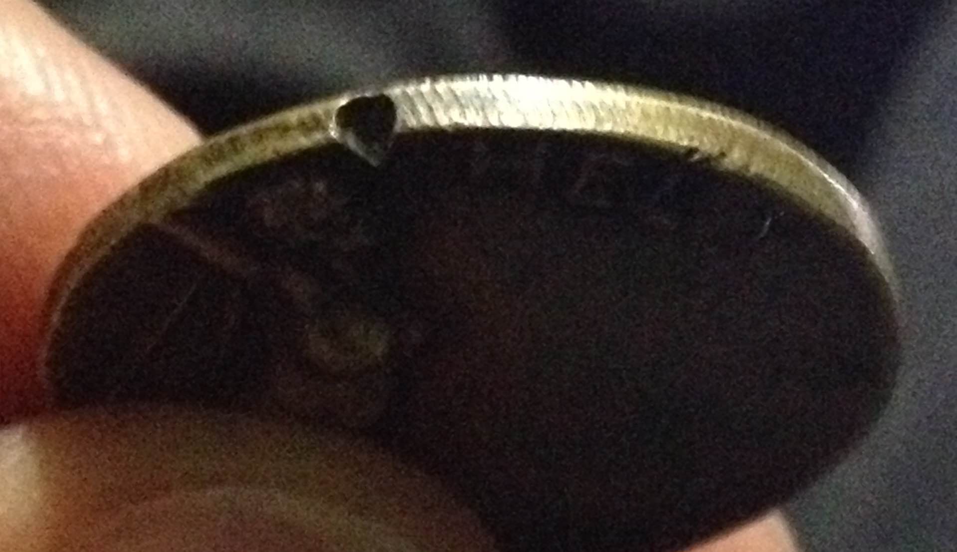 Any-Idea-What-This-Is-?
