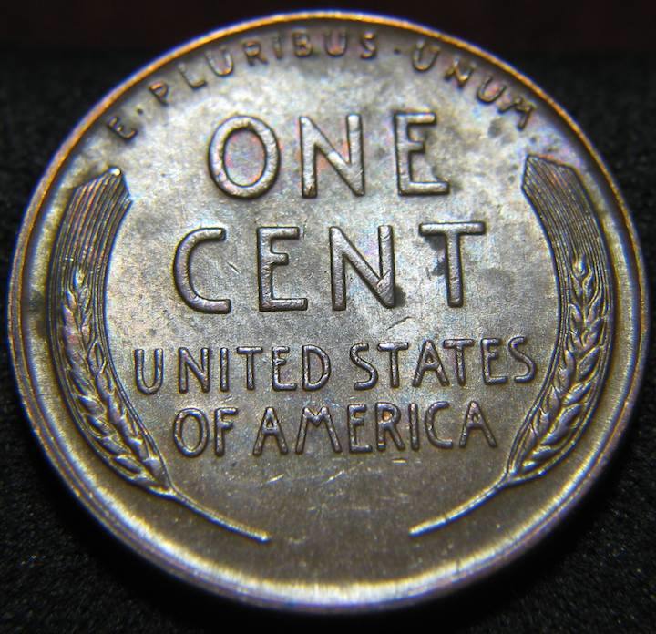 Just-A-Few-Things-I-Found-This-Past-Week-Roll-Hunting-.