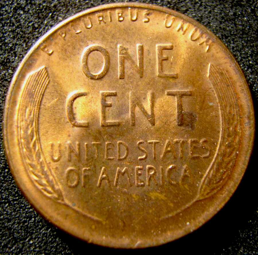 Just-A-Few-Things-I-Found-This-Past-Week-Roll-Hunting-.