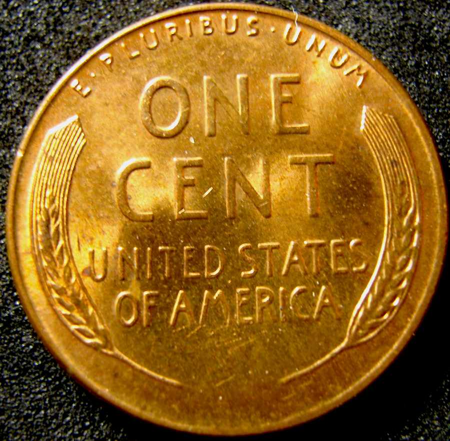 Just-A-Few-Things-I-Found-This-Past-Week-Roll-Hunting-.