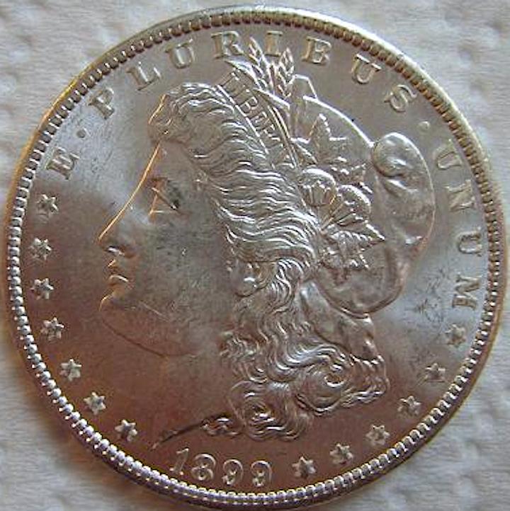 Grade-My-1899-O-Morgan