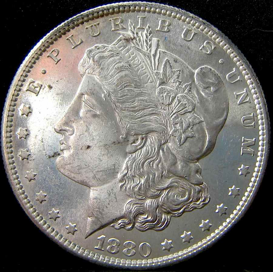 Just-A-Few-Things-I-Found-This-Past-Week-Roll-Hunting-.
