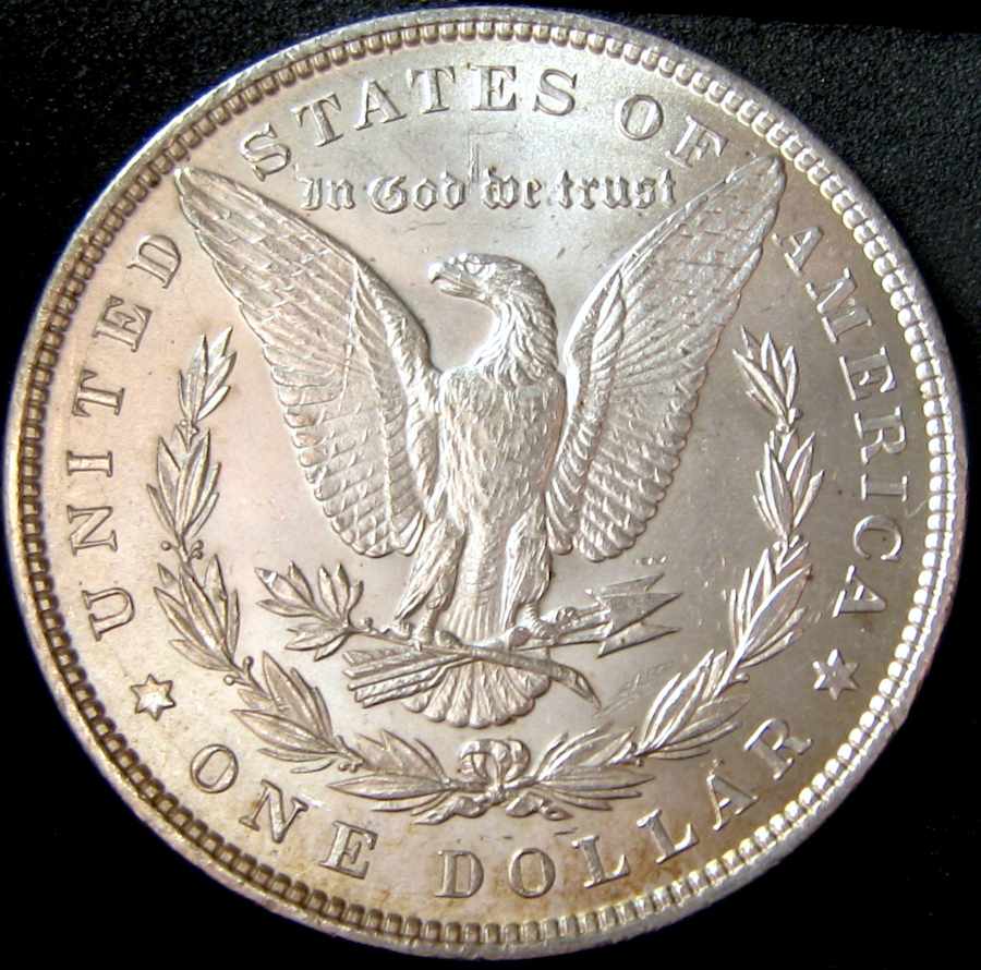 Just-A-Few-Things-I-Found-This-Past-Week-Roll-Hunting-.