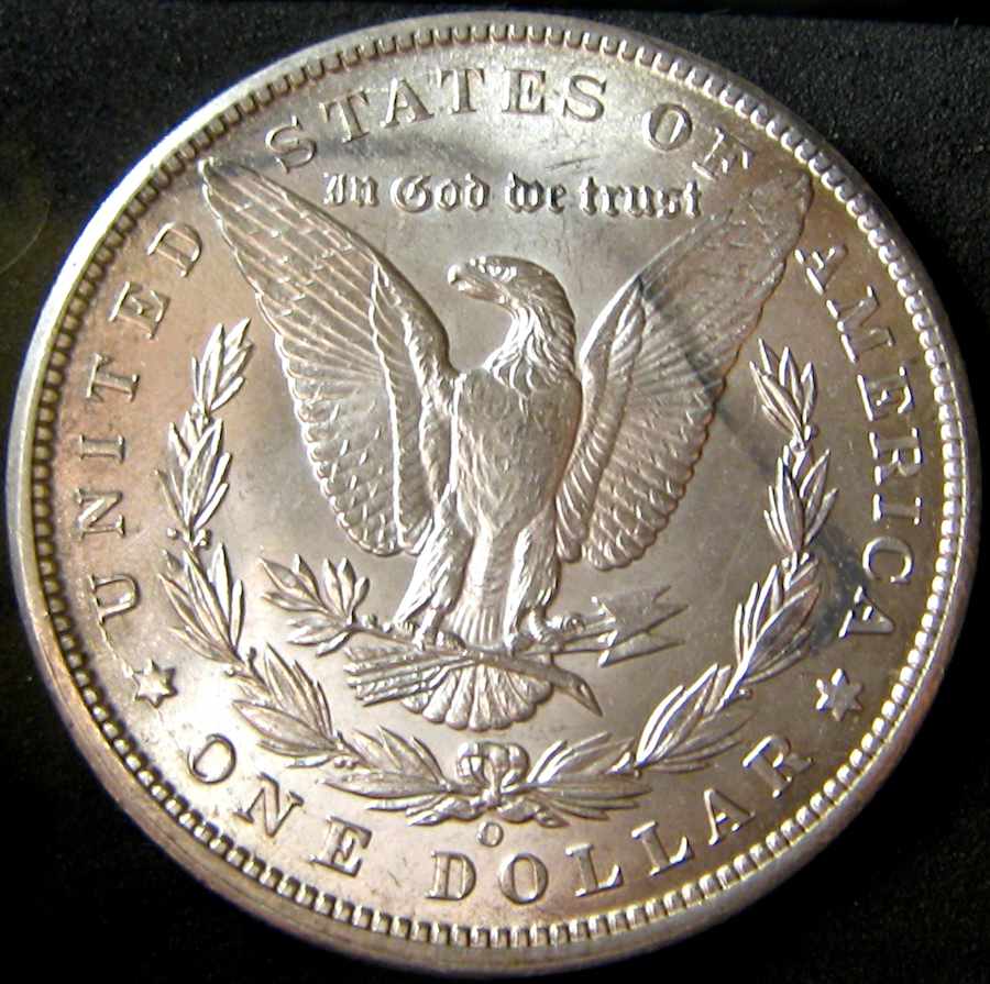Just-A-Few-Things-I-Found-This-Past-Week-Roll-Hunting-.