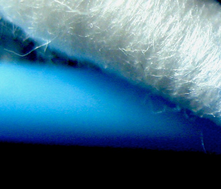 New-Contest--Guess-It-*photo-ID-*---And-Guess-The-Grade--