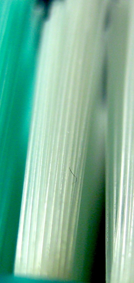 New-Contest--Guess-It-*photo-ID-*---And-Guess-The-Grade--