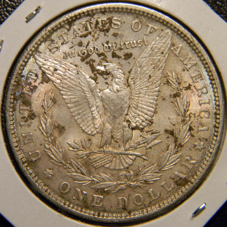 An-Ugly-1890-Morgan