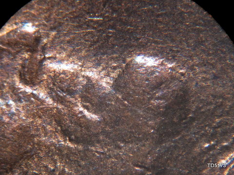 1982-P-1-DO-001-?