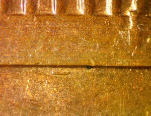 1979-D-Lincoln-Cent-Reverse-Oddity