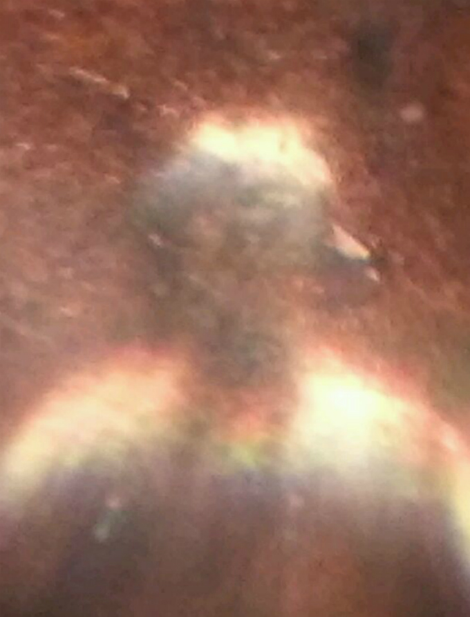 New-Lens-I-Made-For-A-Phone-Have-To-See-This-No-Joke!
