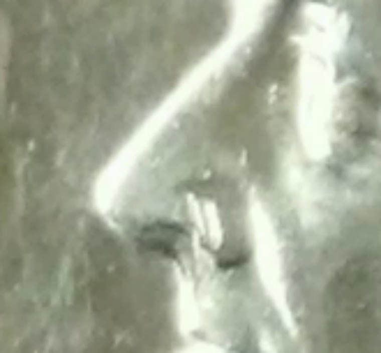 1998-Dime-A-Pig-Nose-Mark-Dont-Know-Correct-Term