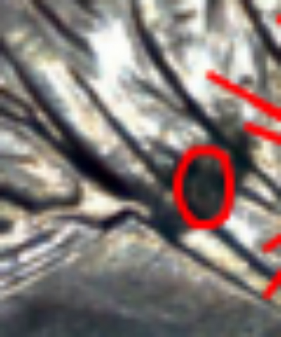 2009-Extra-Finger