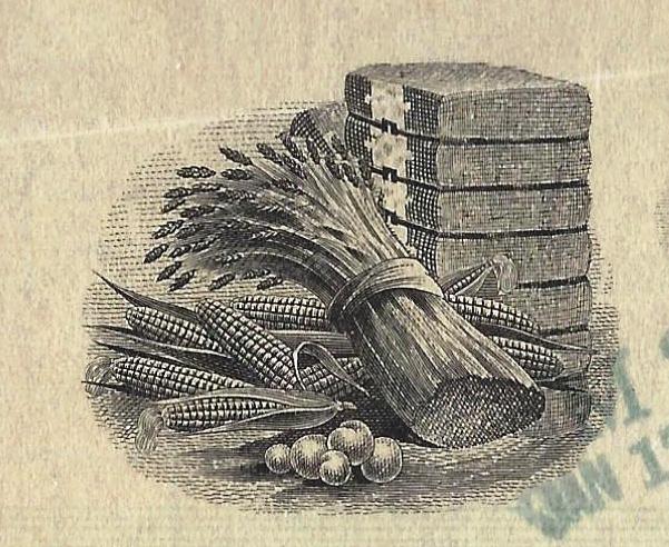 Old-Checks