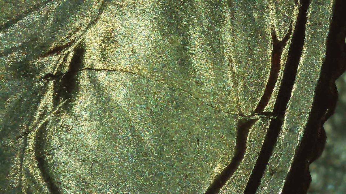 2023-P-Idar-Quarter-With-Die-Crack-OBV-&-Rev
