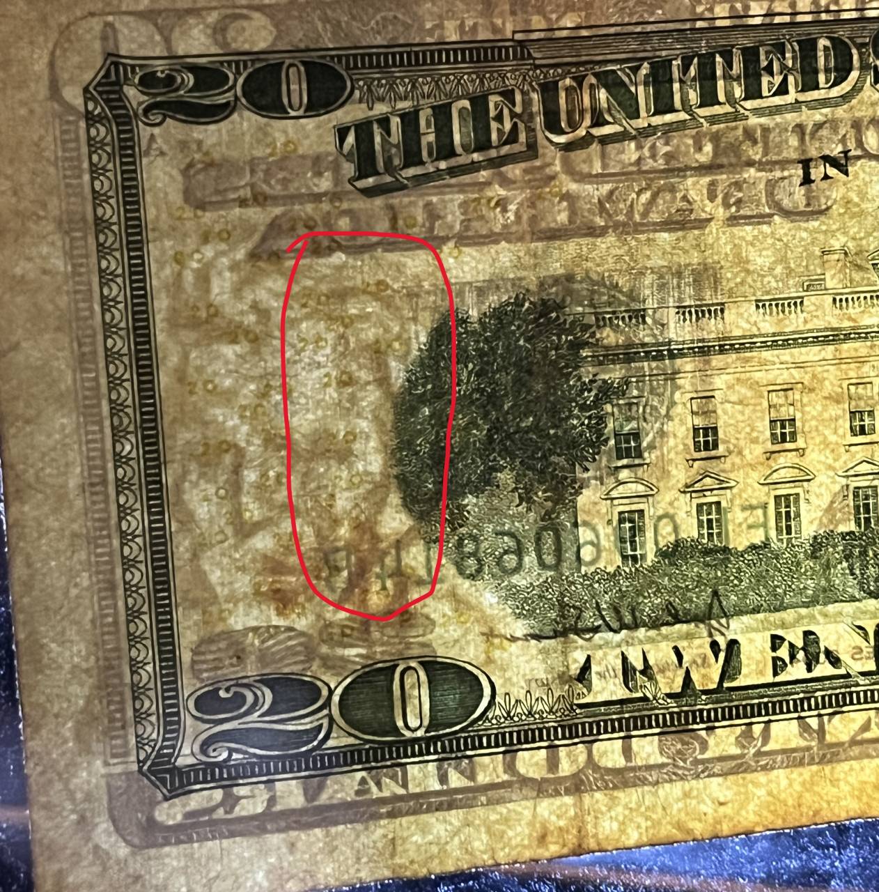 Mysterious-Llama-$20-Dollar-Note-2004