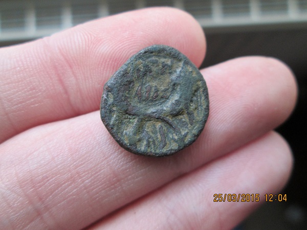 Judean-Or-Nabatean-Coins,-Double-Cornucopiae.-Help-Needed.