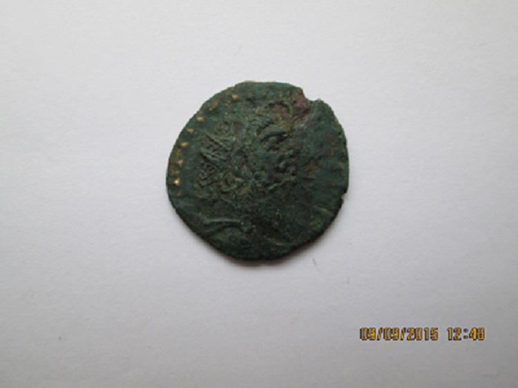 Carausius