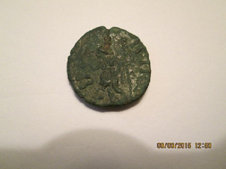 Carausius