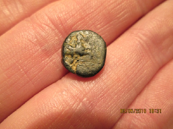 Another-Possibly-Greek-Coin,-Horse/-Cow-?