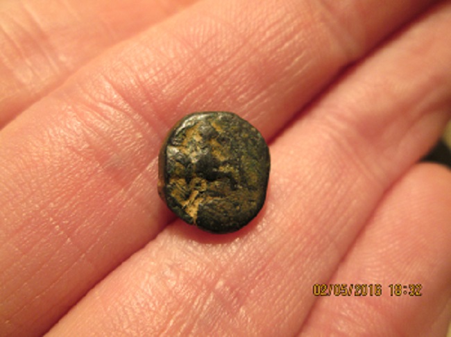 Another-Possibly-Greek-Coin,-Horse/-Cow-?