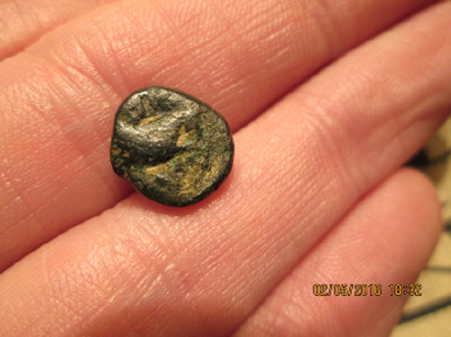 Another-Possibly-Greek-Coin,-Horse/-Cow-?
