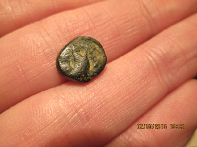 Another-Possibly-Greek-Coin,-Horse/-Cow-?