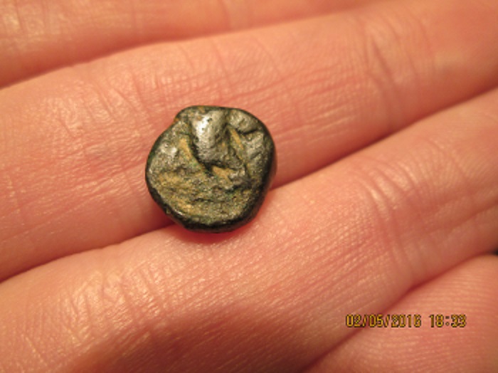 Another-Possibly-Greek-Coin,-Horse/-Cow-?
