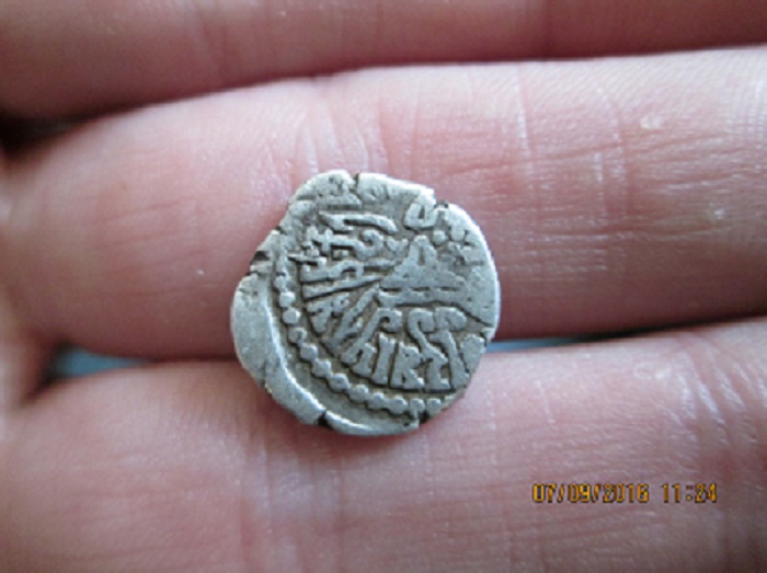 Another-Indian-Purchase,-Western-Satraps