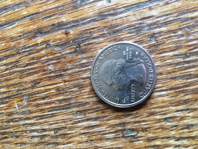 Jacob's-Roll-Hunting-Finds