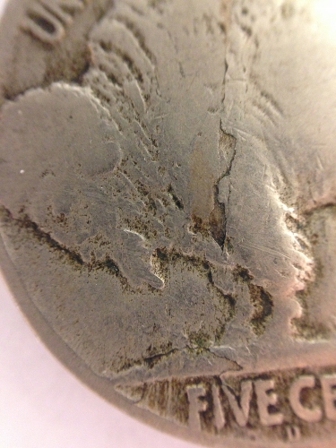 Buffalo-Lamination?