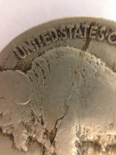 Buffalo-Lamination?