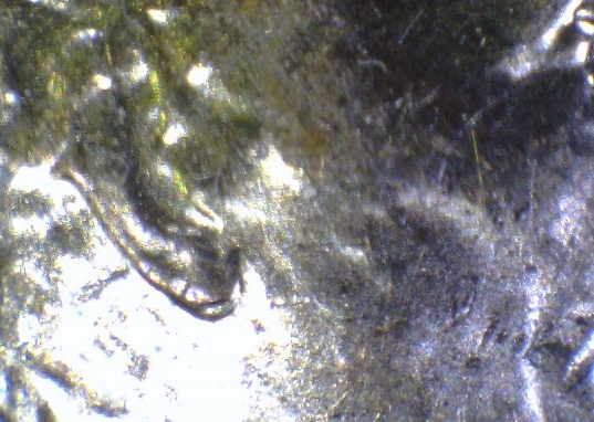 2015-Lincoln-Cent-Double-Ear?