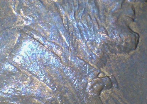 2000-Lincoln-Penny---DDO---Beard-/-Ear-/--?