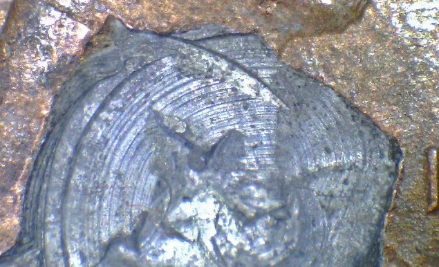 1985-Lincoln-Cent---Struck-Through-Something-?