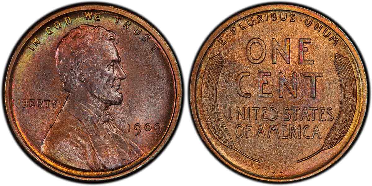 First-PCGS-Submission.-Need-Guidance-On-The-Results.