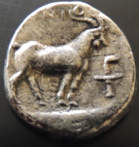 Is-This-A-Coin,-Or-Something-Else-Entirely-?