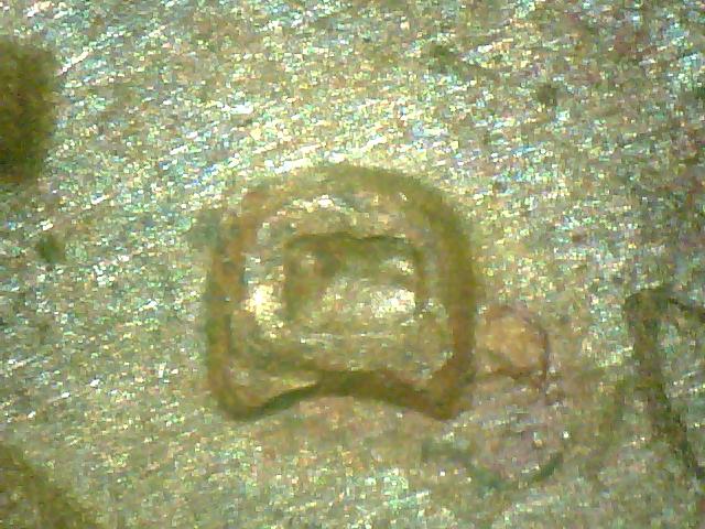 ??-72-Mint-Mark?
