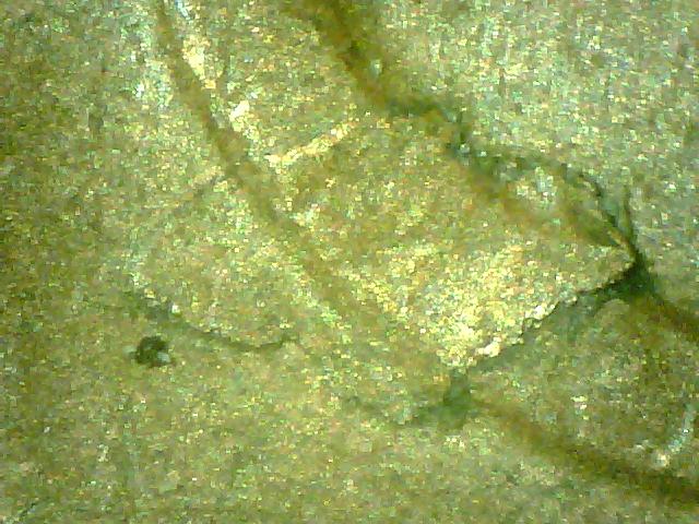 Lamination-Error-Or-Die-Chip?