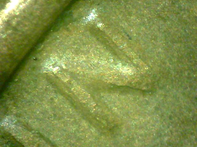 1972-Lincoln-Cent-DDO?