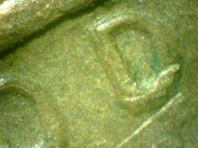 1972-Lincoln-Cent-DDO?