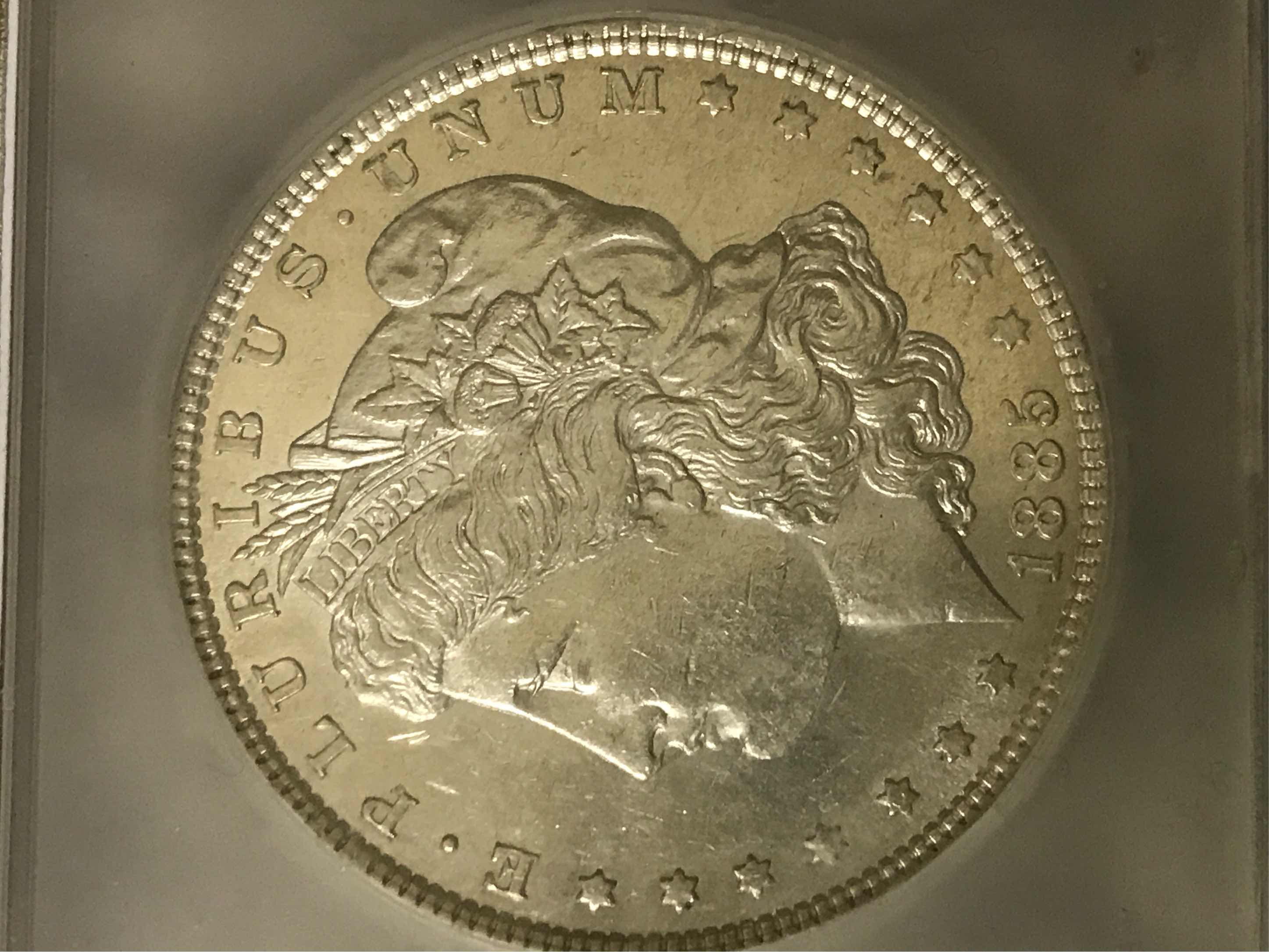 Morgan-Prooflike-Or-Am-I-Seeing-Things