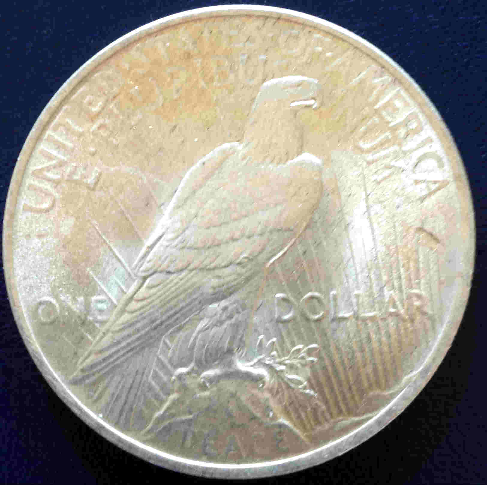 Common-Morgans-And-Chipped-Peace