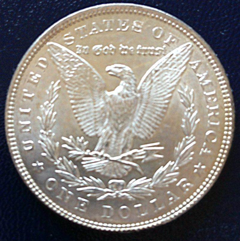Common-Morgans-And-Chipped-Peace