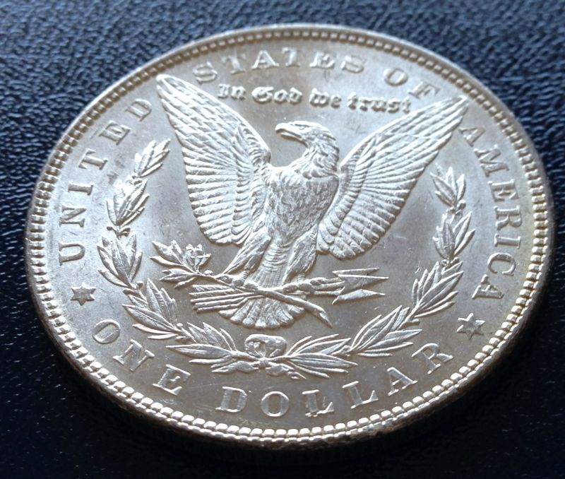 Common-Morgans-And-Chipped-Peace