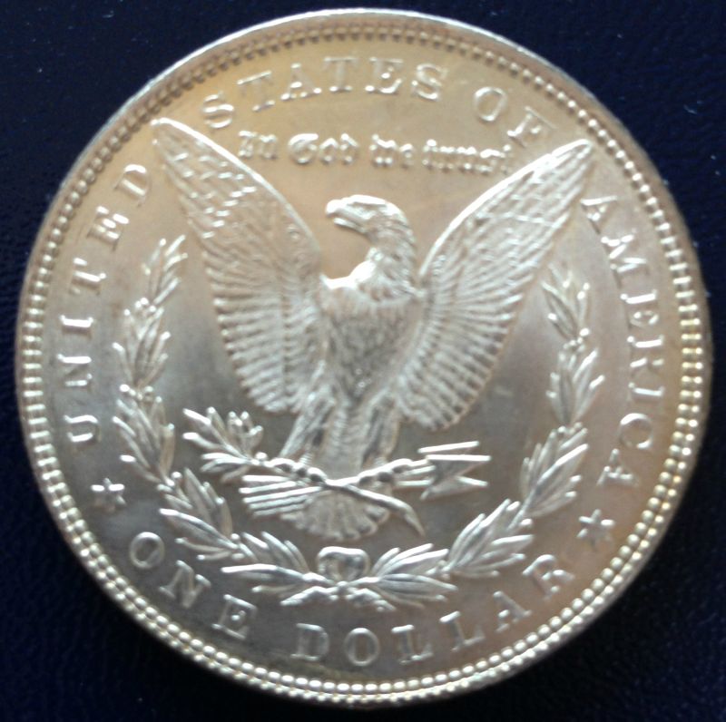 Common-Morgans-And-Chipped-Peace