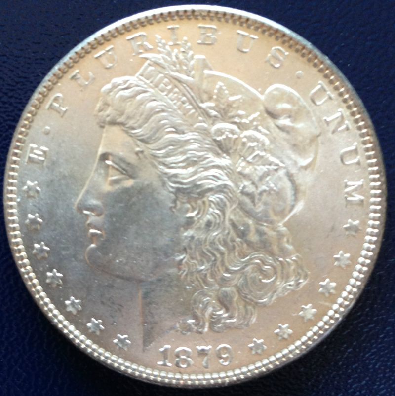 Common-Morgans-And-Chipped-Peace