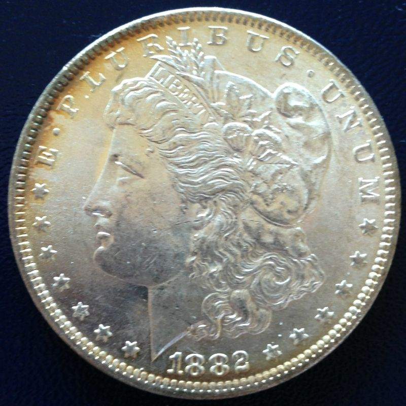 Common-Morgans-And-Chipped-Peace