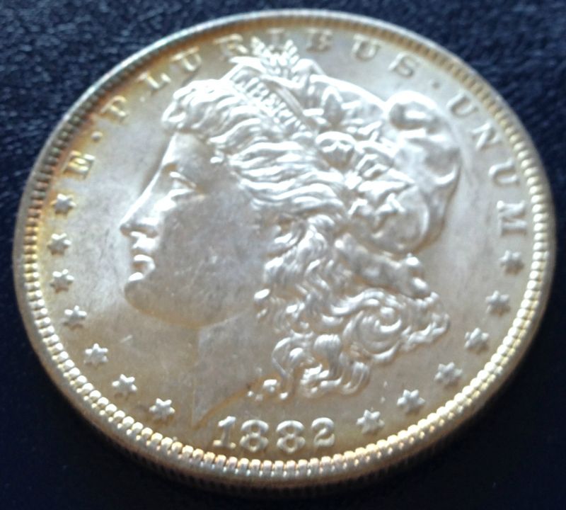 Common-Morgans-And-Chipped-Peace